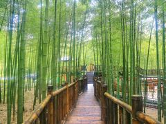 -陶祖圣境风景区