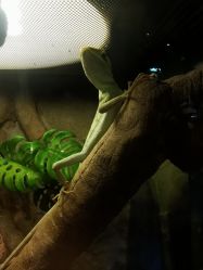 -酷嗒动物文化乐园(cutezoo西溪乐天城店)