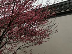 -堤角公园