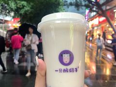 -一只酸奶牛(八一路店)