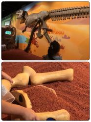 -北京科学中心儿童乐园