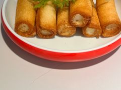 -鸽小宝(深圳首店)