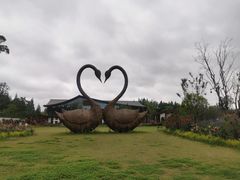 -东平国家森林公园