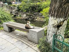 -郑和公园