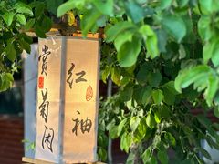 -十亩森林