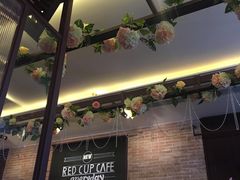 -杯子红牛排(南庄吉利广场店)