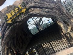 -白鹿原影视城