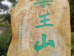 -广东中医药博物馆