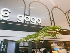 -gaga(深圳南山益田假日广场店)
