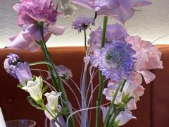 -Tomacado花厨(One ITC店)