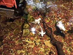 -邈墨茶馆(凤起路店)