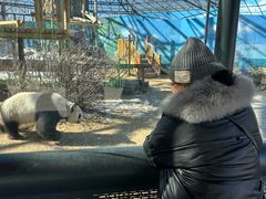 -鄂尔多斯野生动物园