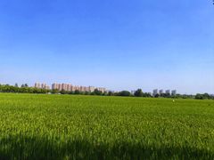 -嘉北郊野公园