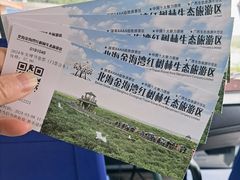 -北海金海湾红树林生态旅游区