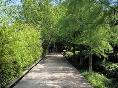 -天目湖山水园