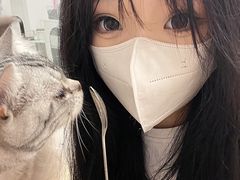 -有喵·猫咖·狗咖·30几只猫10只小狗(岗厦店)