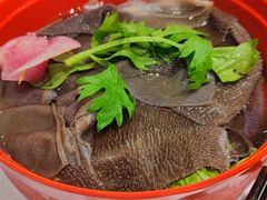 -老马路串串香火锅(北门桥店)
