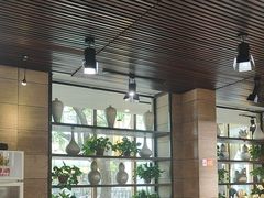 -金枝玉叶上海人家食府(三里河店)