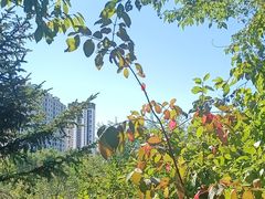 -黑龙江省森林植物园
