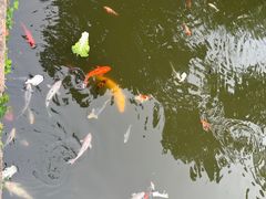 -苏州文庙(姑苏区)