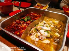 -舒来喜鱼锅(伊河路店)