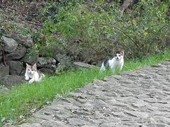-南京市江宁方山