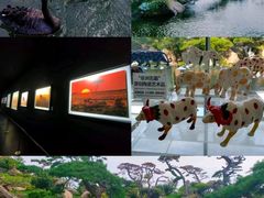 -罗红摄影艺术馆