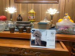 -翡翠森林宠物火化殡葬(通州店)