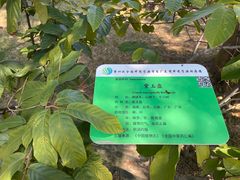 -广东中医药博物馆