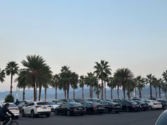 -东钱湖旅游度假区