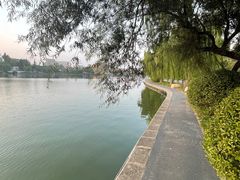 -莱西月湖公园