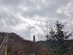 -冶父山国家森林公园