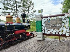 -莫尔道嘎国家森林公园