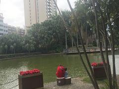 -四海公园(南山区)