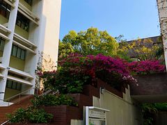 -香港大学