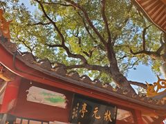 -仓山金山寺