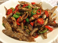 火培鱼-壹盏灯(惠农店)