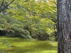 -三千院