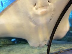 -太平洋海底世界