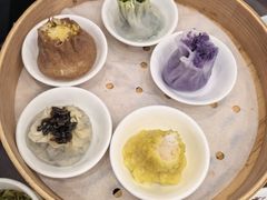 -富春茶社(国庆路店)