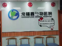 -宠福鑫动物医院(城北分院)