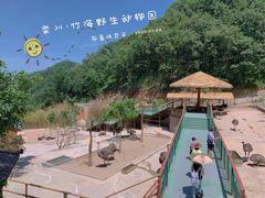 -栾川竹海野生动物园