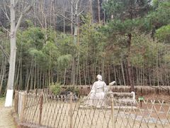 -常德桃花源景区