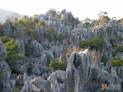 -千岛湖石林