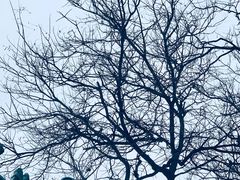 -东华门大街小区