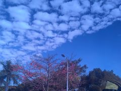 -厦门高崎国际机场-T3航站楼