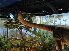 -陕西自然博物馆