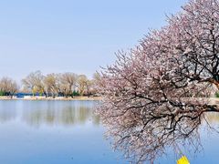 -颐和园