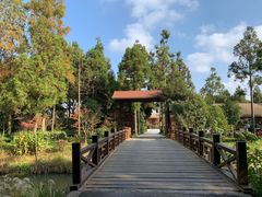 -东平国家森林公园