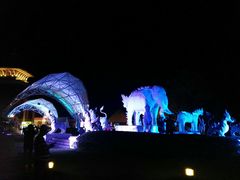 -清迈夜间动物园